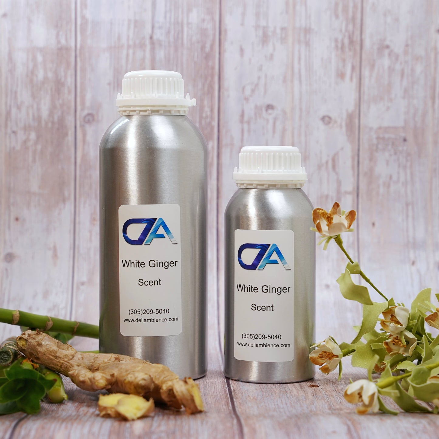 White Ginger Oil Scent - Deli Ambience