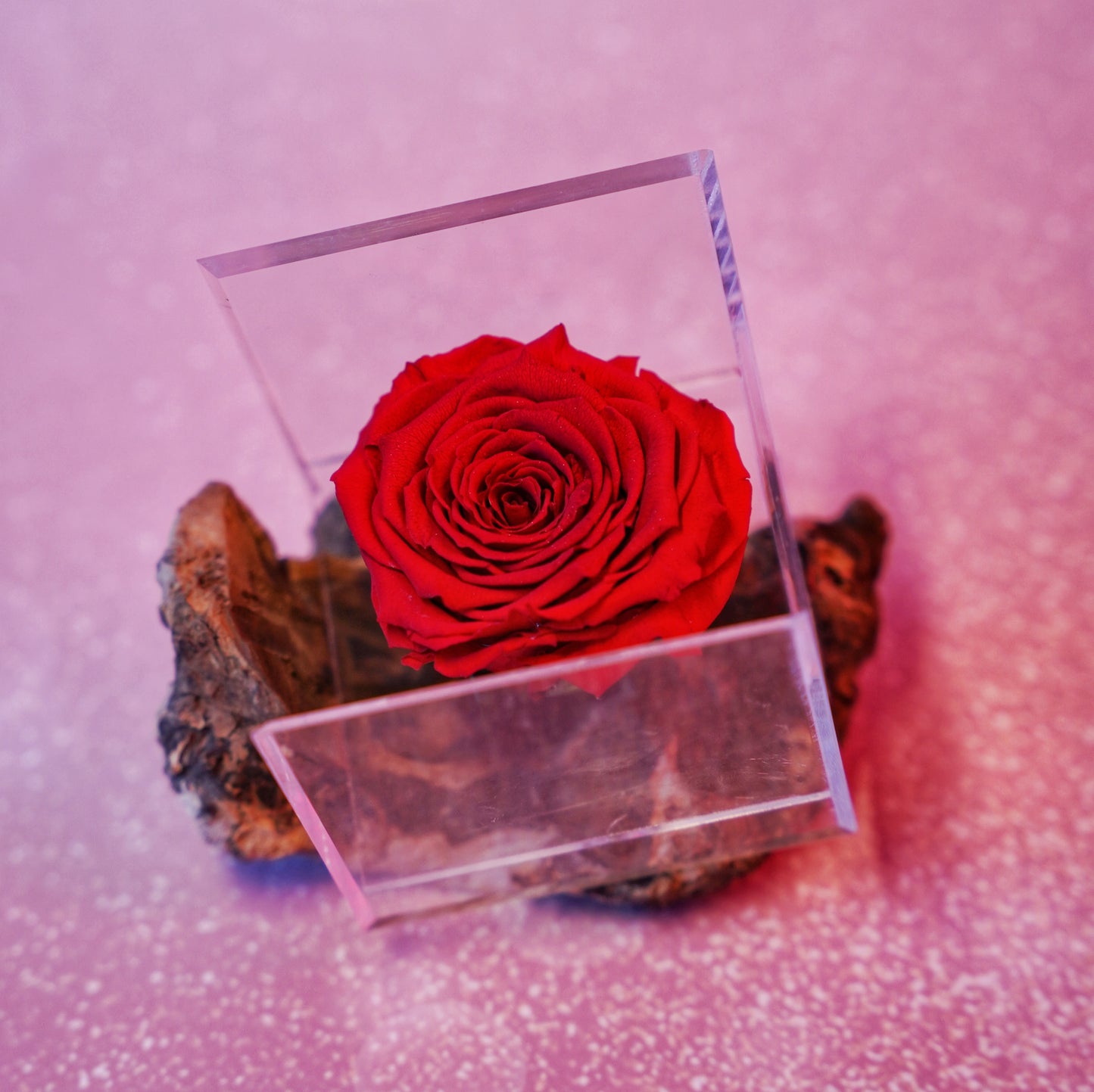 Preserved Scented Flowers in Acrylic Box - Deli Ambience