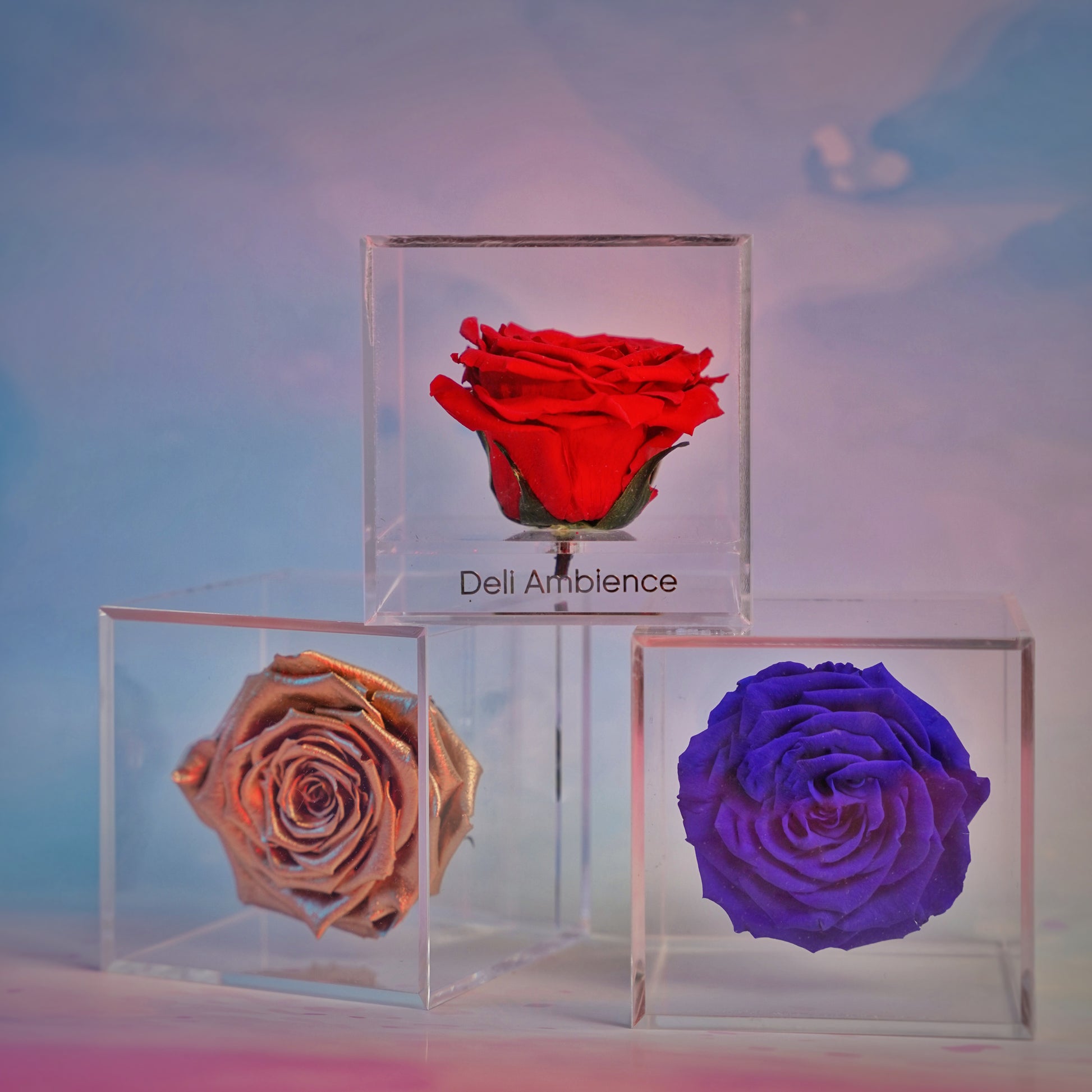 Womens Gifts for Christmas, Rose Bear Preserved Flowers Gift Set, Eternal  Flower